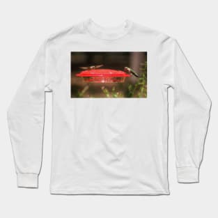 Hummingbirds At Feeder Long Sleeve T-Shirt